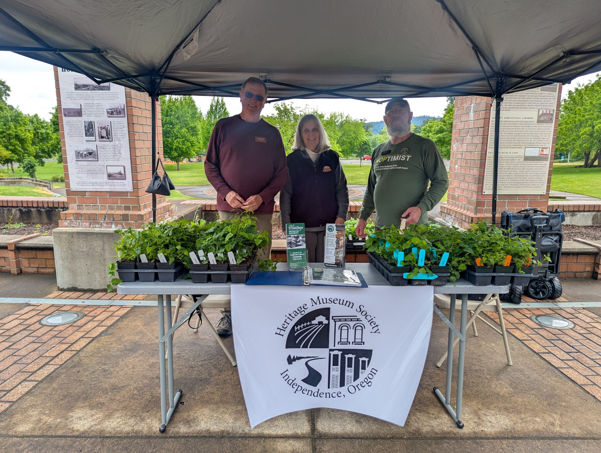 Halloween Spooky Witch Potions