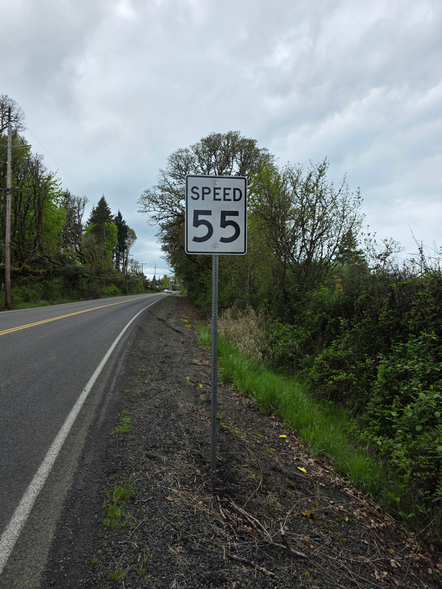 Speed limit sign displaying "55" along a rural road. The road curves left, flanked by tall trees and lush greenery under a cloudy sky.