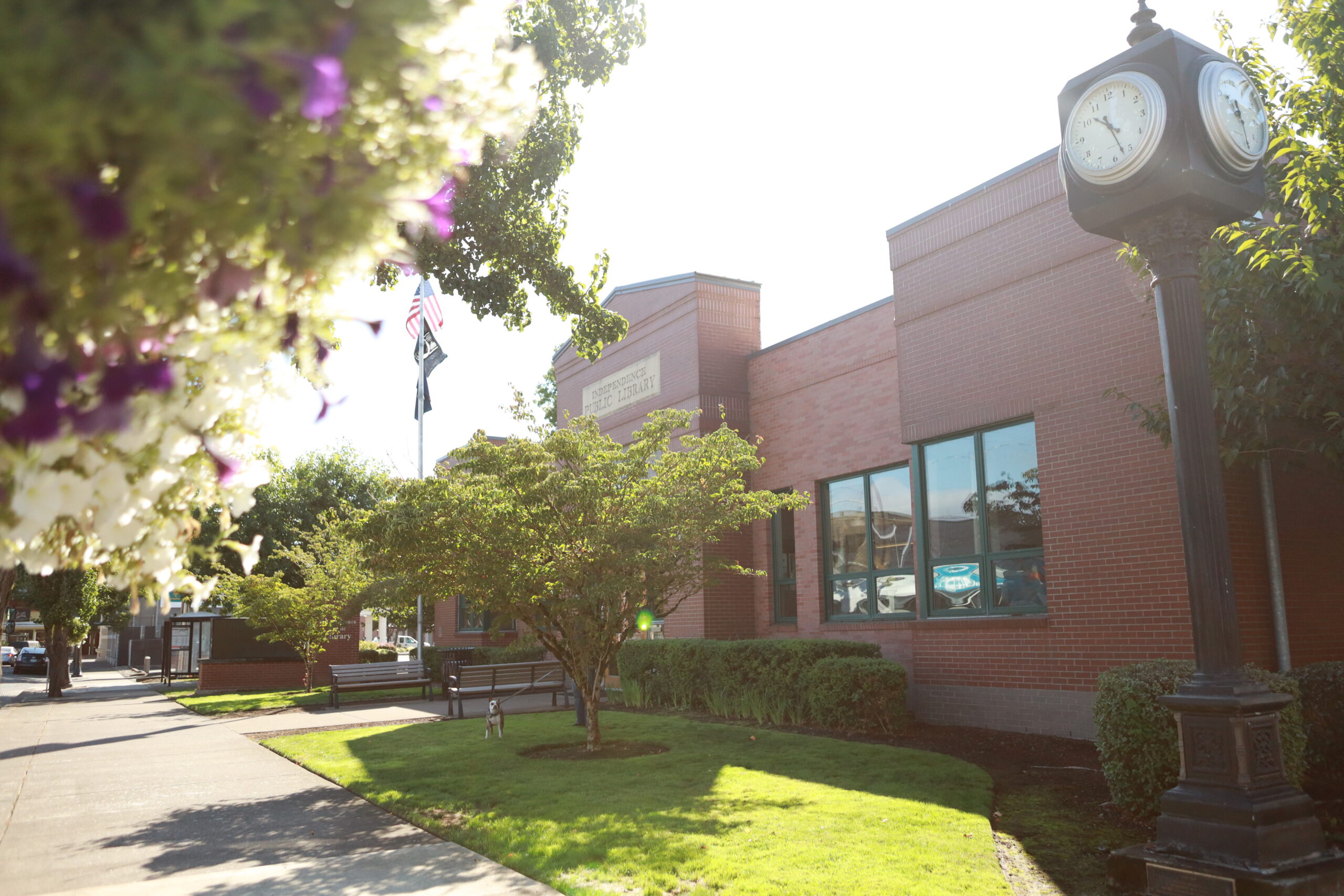 Exterior view of a brick library building with green windows, surrounded by trees and flowers, featuring a clock and flags.