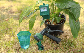 A green potted plant with a moisture meter, a blue measuring cup filled with water, and a black garden hose nozzle on grass.