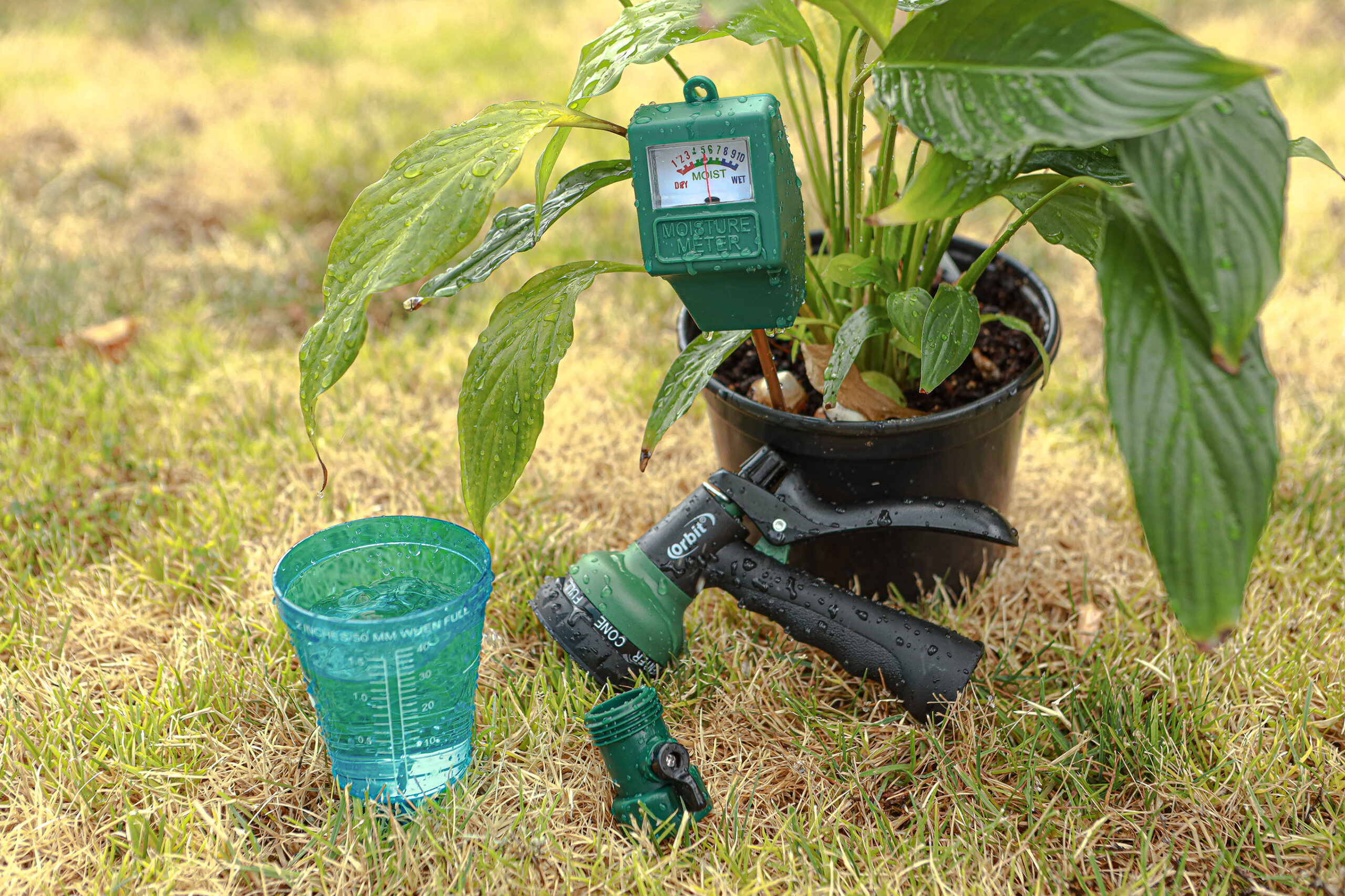 A green potted plant with a moisture meter, a blue measuring cup filled with water, and a black garden hose nozzle on grass.